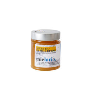 Scatola Mielario 24 X Miele Millefiori Biologico 200g