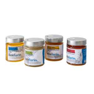 4 Scatole Mielario (96 pezzi) con 4 tipologie di Miele Biologico 200g